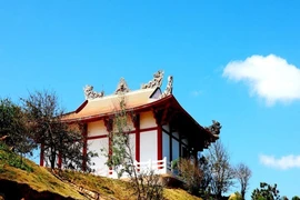 Đại đức từng là Bộ đội Cụ Hồ trồng 100 cây bàng vuông ở chùa 