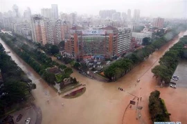 Siêu bão Meranti vùi dập Phúc Kiến, Trung Quốc