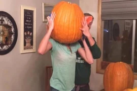Phì cười với cảnh teen kẹt đầu trong bí ngô Halloween