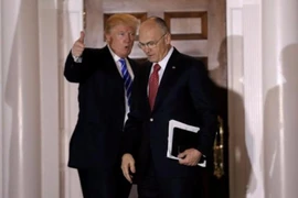 3 đề cử nội các ông Trump bị Thượng viện hoãn xác nhận