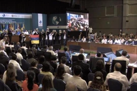 Ngoại trưởng Venezuela từ chức sau đối đầu 12 nước OAS