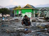 Palu: Lang thang giữa đổ nát tìm cái ăn