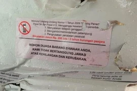 Indonesia: 13 phút bay của chiếc Boeing 737 xấu số