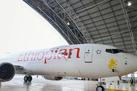 Hãng nào dừng, hãng nào vẫn bay Boeing 737 MAX 8?