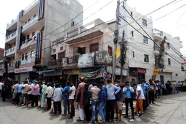 500 anh em rủ nhau lũ lượt xếp hàng chờ mua rượu ở New Delhi (Ấn Độ) ngày 4-5. Ảnh: REUTERS