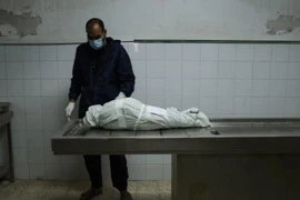Xung đột Israel-Hamas: Nỗ lực quốc tế đang tới đâu? ​