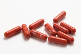 Hai loại thuốc trị COVID-19 của Pfizer và Merck có gì giống, khác?