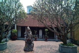 Người đi chùa tố bị sư trụ trì doạ... thả chó cắn nát mặt
