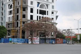 Công trình cao tầng mọc lên, nhiều cây xanh chết bất thường