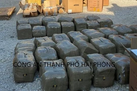 Phát hiện hơn 665kg cần sa giấu trong container tại Hải Phòng