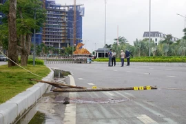Khởi tố 16 người trong vụ hỗn chiến gây chết người tại Đồ Sơn
