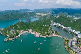 Di chuyển cảng cá Cát Bà để xây dựng cáp treo tuyến Phù Long - Cát Bà