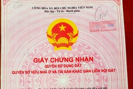 Truy tố nhóm tráo sổ hồng để lừa đảo ở Khánh Hòa