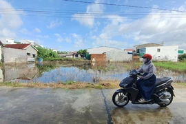 Vụ VKS nhắc việc chậm thi hành án: TP Nha Trang nói đã thi hành và cung cấp chứng cứ mới