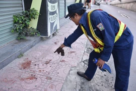 Công an làm rõ vụ con chó 20 kg cắn 2 du khách ở Nha Trang