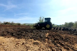 Ninh Thuận: Xử lý bãi đổ vỏ nha đam gây mùi hôi thối