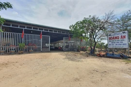 Huyện tổ chức đấu giá thửa đất chưa giải phóng mặt bằng là sai