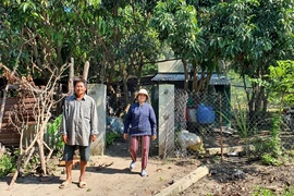 Tòa tuyên hủy 2 sổ hồng vụ 'đất ở hơn 20 năm bị cấp cho người khác'