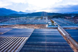 Chủ tịch Hội đồng quản trị Trung Nam Group bị tạm hoãn xuất cảnh