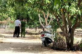 Công an vào cuộc vụ đấu giá đất khi chưa giải phóng mặt bằng