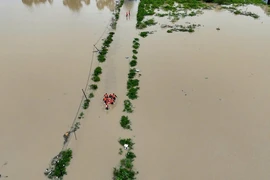 Khánh Hòa dự kiến mưa trên 300 mm, lực lượng cứu hộ căng mình sơ tán người dân