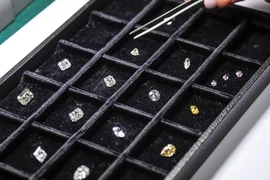  Kim cương của công ty nhà nước Alrosa - Ảnh : Moskva News Agency 