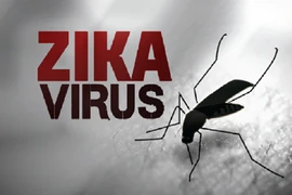 TP.HCM: Thêm 12 trường hợp mắc virus Zika