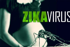 Chế độ bồi dưỡng cho tình nguyện viên chống dịch Zika