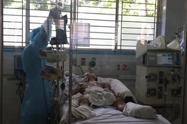 Bị chó con cào nhẹ, dính luôn bệnh dại nguy kịch