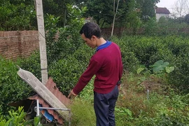 Đã có kết quả mẫu đất nhà 3 anh em tử vong nghi do Whitmore