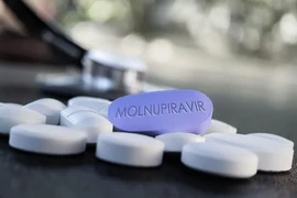 Xem xét cấp số đăng ký thuốc Molnupiravir 'made in Việt Nam'