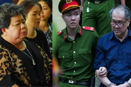 Mở lại phiên phúc thẩm vụ án liên quan hàng trăm bất động sản 