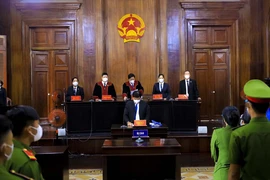 Lý do tòa không đồng ý cho bà Bạch Diệp nộp tài liệu bản sao