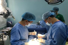 Vào chuồng chăm heo con, bị heo mẹ táp 'của quý'