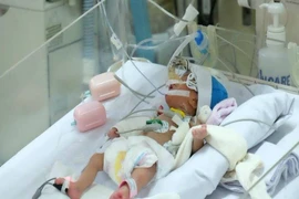 Hành trình 12 năm và 10.000 trái tim nhỏ được hồi sinh