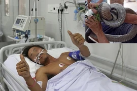 Vụ tay không bắt rắn hổ chúa: Không phải thợ chuyên nghiệp