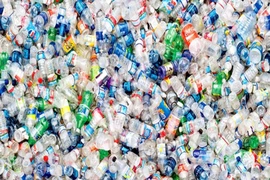 TP.HCM khẩn cấp tìm người đến vựa ve chai ở quận 1 từ ngày 30-5