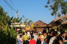Độc đáo phiên chợ 'nhà trồng' ở Đồng Tháp