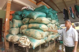 100 tỉ đồng phục hồi sản xuất miền Trung