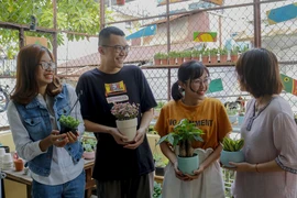Chàng trai với dự án “Nhà nhiều lá”