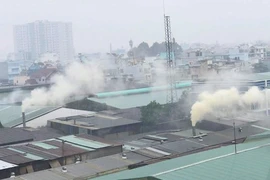 TP.HCM phê duyệt chương trình giảm ô nhiễm môi trường