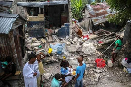 Thủ tướng Haiti quyết không phí phút giây nào cứu nạn nhân động đất