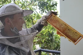 Cú sốc thuế hơn 400% với mật ong Việt Nam