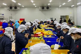 Khách hàng quốc tế đang 'săn' nông sản Việt 