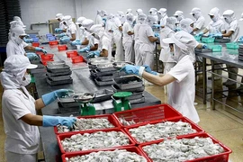 Tàu cá nằm bờ, doanh nghiệp “khát” nguyên liệu hải sản 