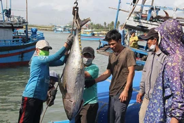 Thay đổi để thủy sản phát triển bền vững 