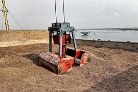 Biến rác, phụ phẩm bỏ đi thành 'vàng' xuất khẩu 