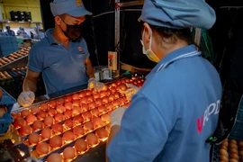 Thực phẩm chăn nuôi theo mô hình thả rông lên ngôi 