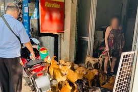 1 hộ nuôi cả trăm con chó: Cần quy định chặt chẽ hơn 