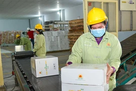 Nhiều nước ngừng xuất khẩu gạo: Thời cơ hiếm có cho hạt gạo Việt 